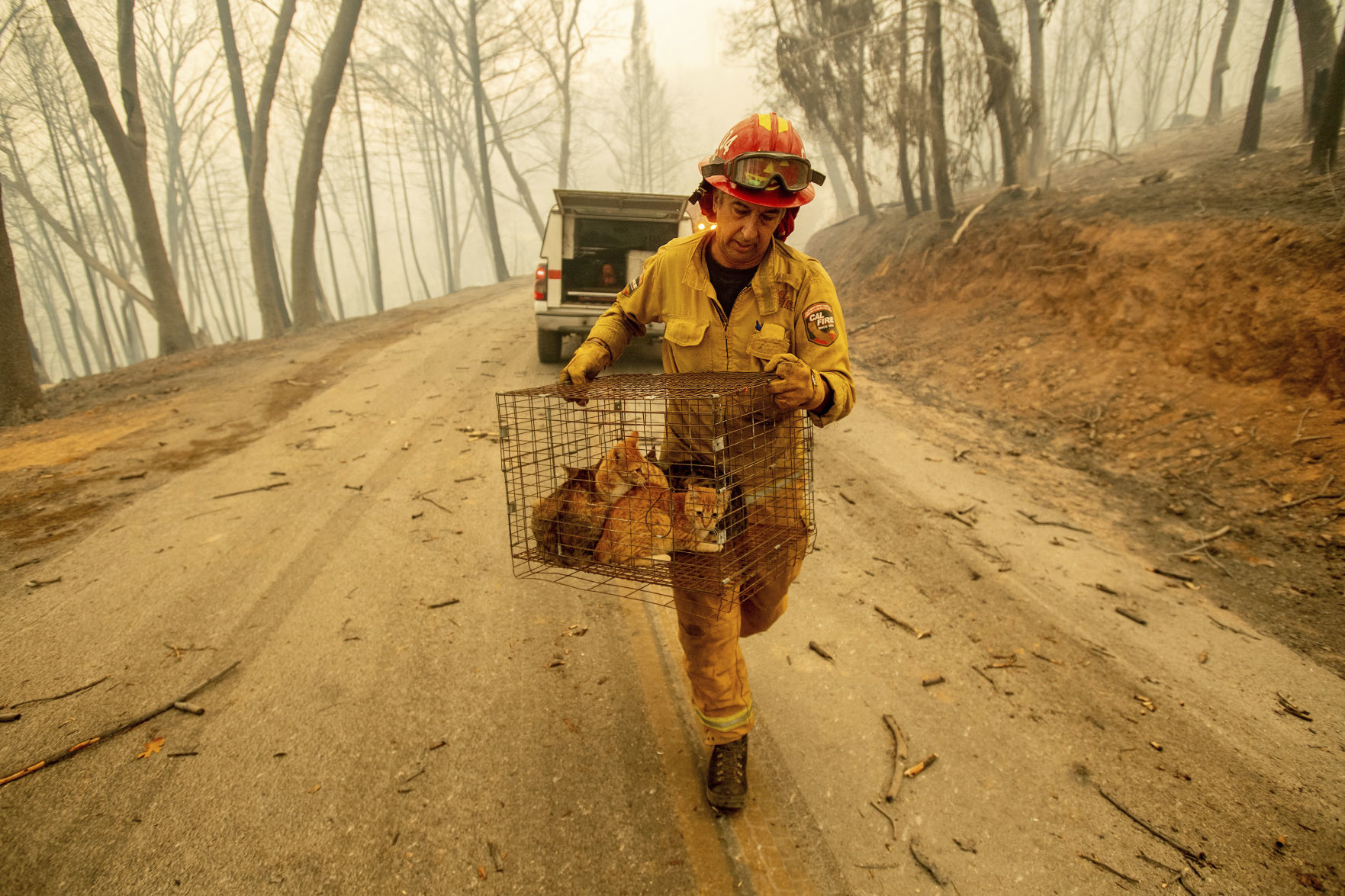 California Wildfires Photo Gallery